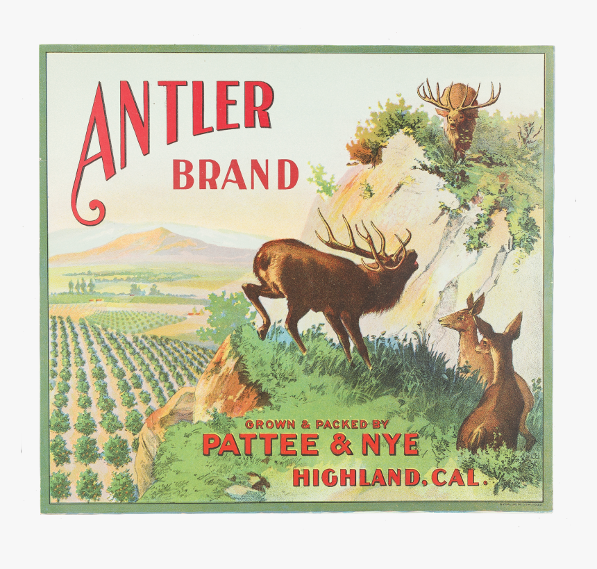 Fruit Label - "antler Brand - Elk, HD Png Download, Free Download