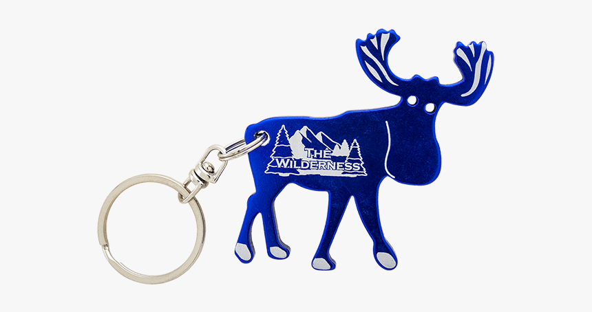 Keychain, HD Png Download, Free Download