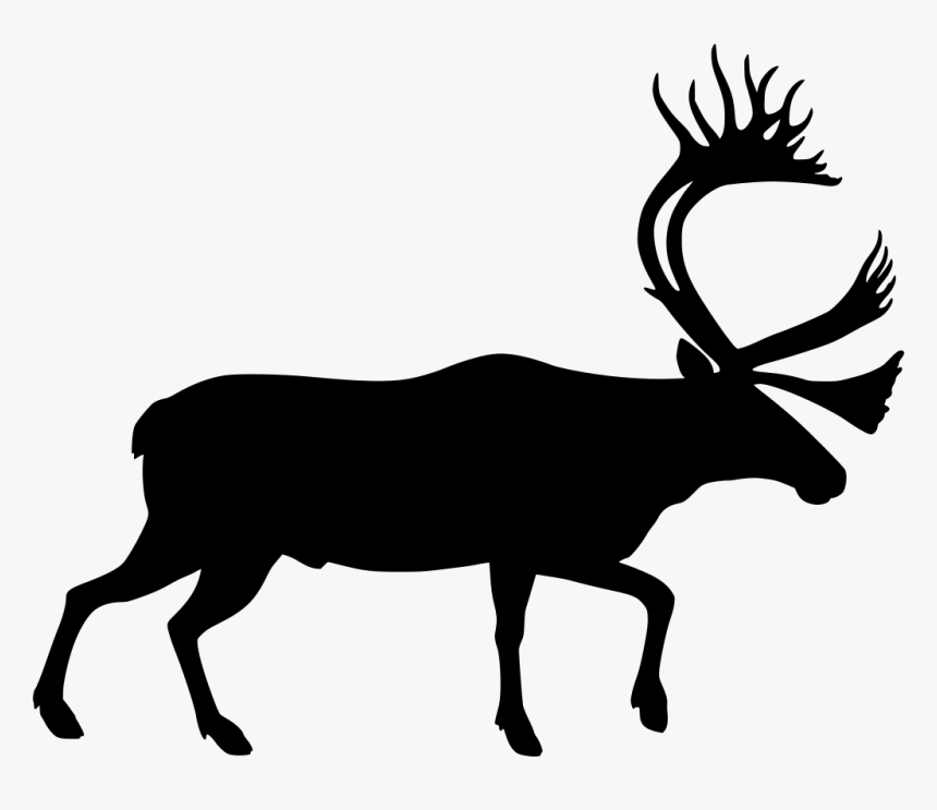 Moose Walk Cartoon, HD Png Download is free transparent png image. 