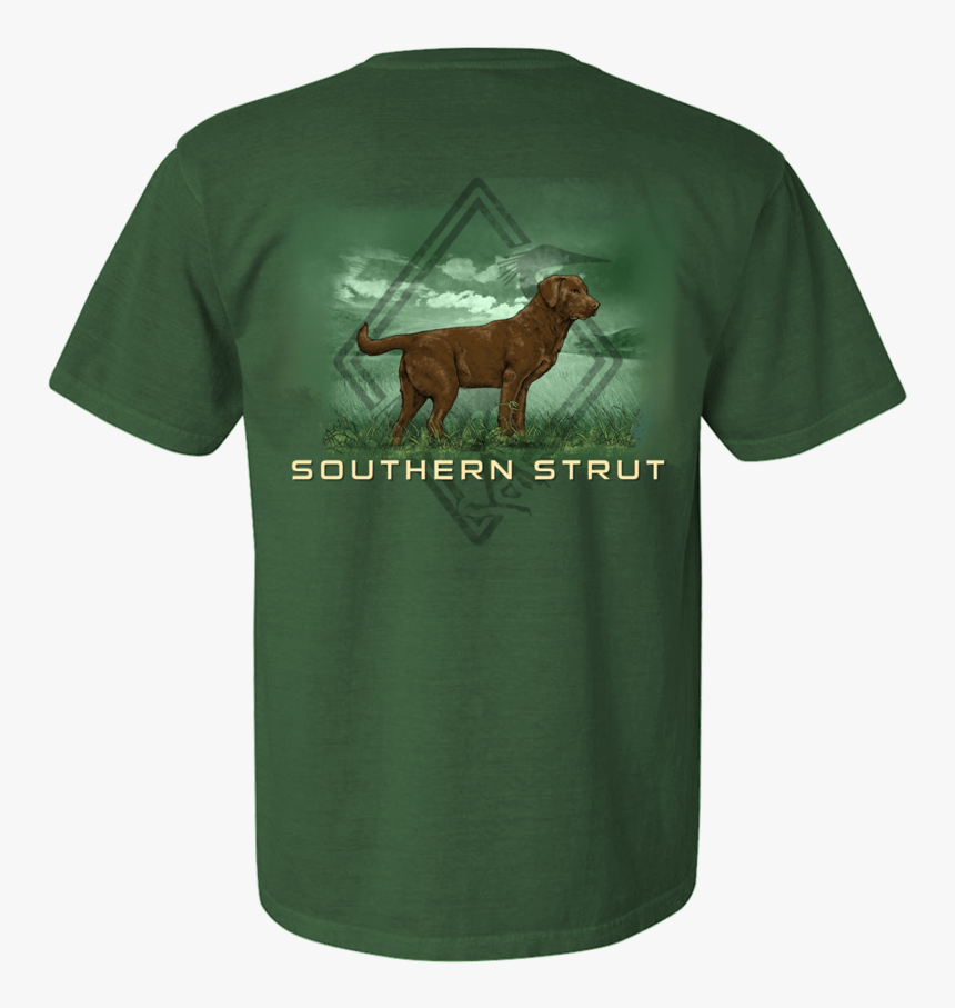 Sorrel, HD Png Download, Free Download