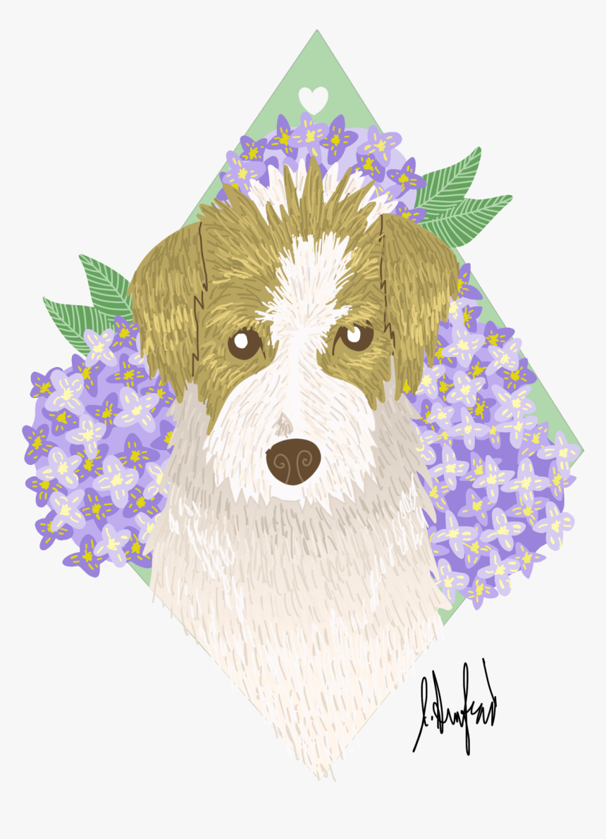 I Made Some Puppos For My Friends And Family 
sassy - Schnoodle, HD Png Download, Free Download