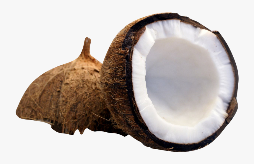 Half Cut Coconut Png Image - Coconut Milk, Transparent Png, Free Download