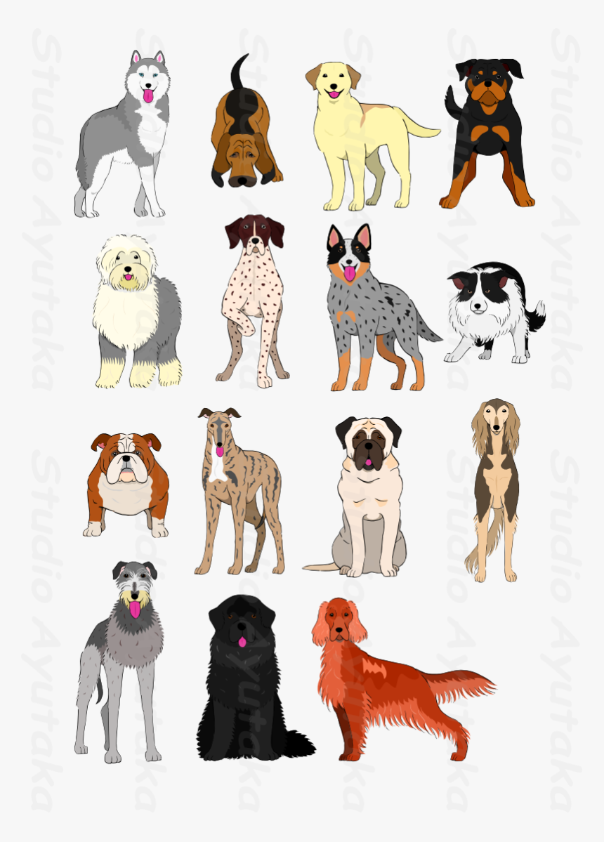 Australian Cattle Dog Drawing, HD Png Download, Free Download