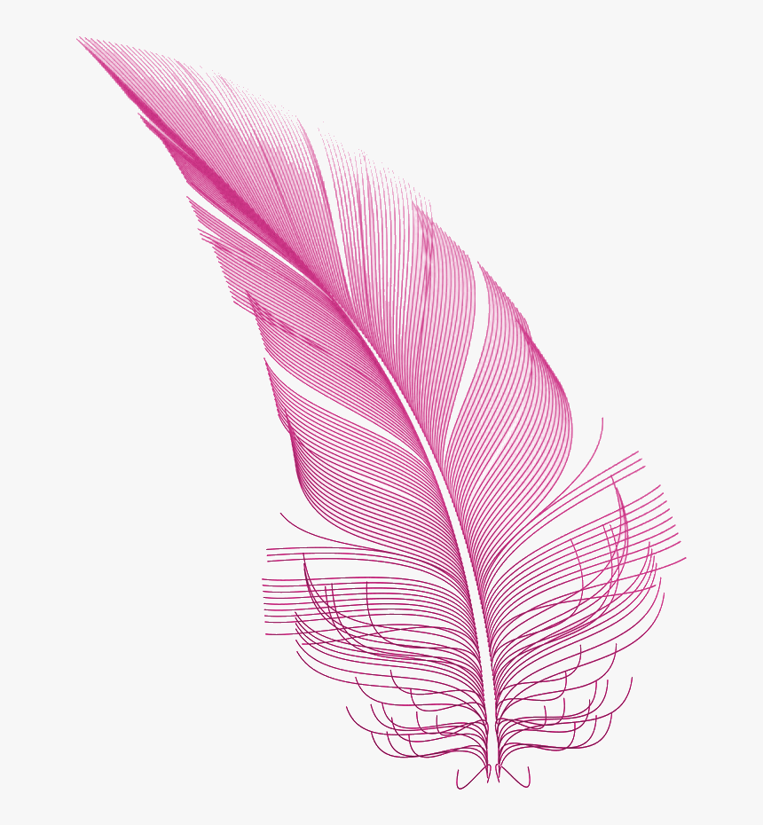 Transparent Pink Feather Png, Png Download, Free Download