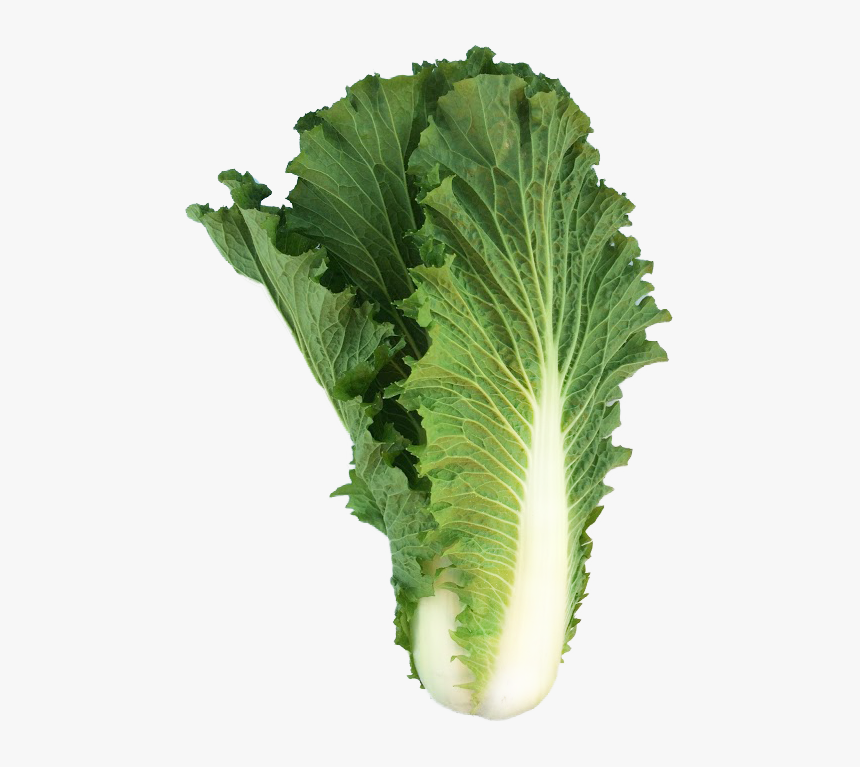 Mustard Greens, HD Png Download, Free Download