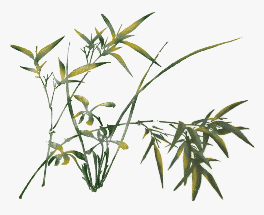 Grass, HD Png Download, Free Download