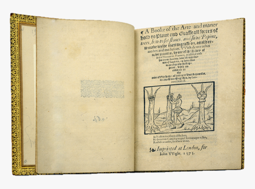 Picture Vellum, HD Png Download kindpng