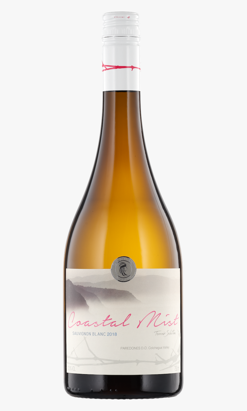 Champagne, HD Png Download, Free Download