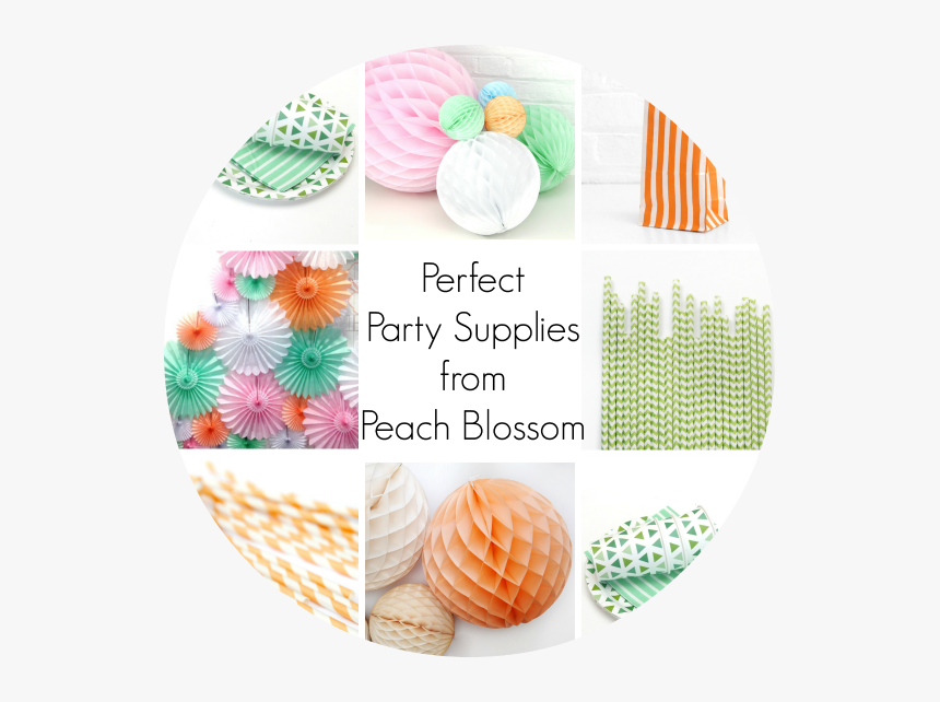 Stylish Party Decorations With Peach Blossom - Circle, HD Png Download, Free Download