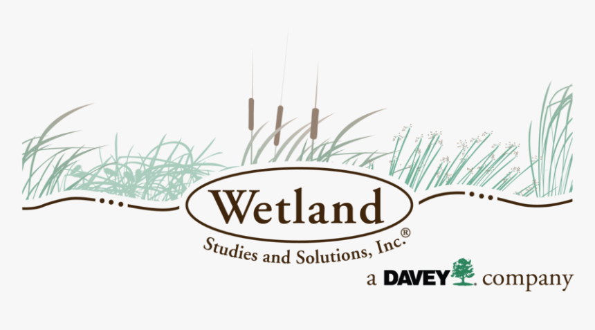 Wetland Studies And Solutions, Inc - Grass, HD Png Download, Free Download