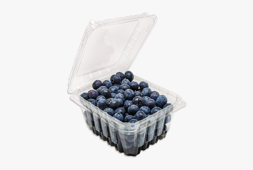 Hinged Blueberry Container - Container Of Blueberries Png, Transparent Png, Free Download