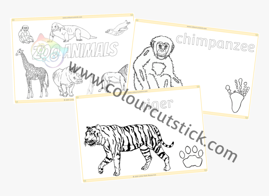 Zoo Animal Colouring Cover - Cartoon, HD Png Download, Free Download