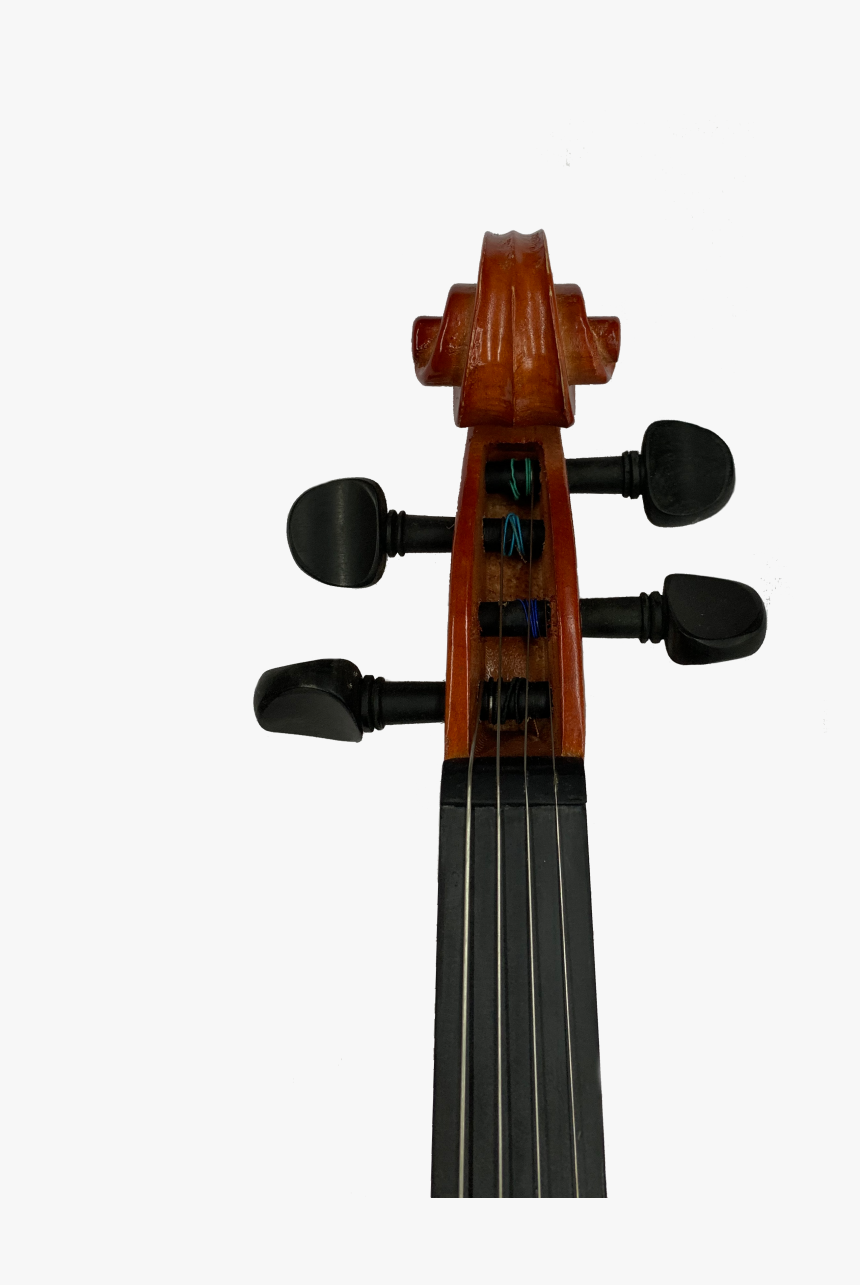 5 String Stingray Violin, HD Png Download, Free Download