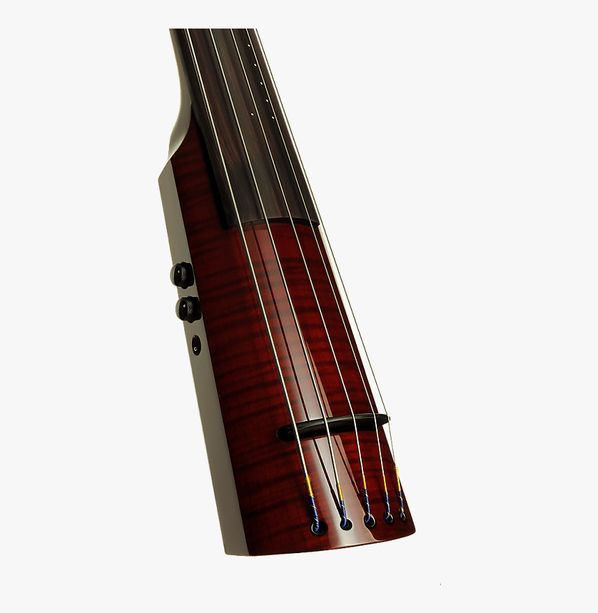 5 String Electric Double Bass, HD Png Download, Free Download