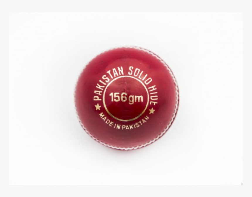 Cricket, HD Png Download, Free Download