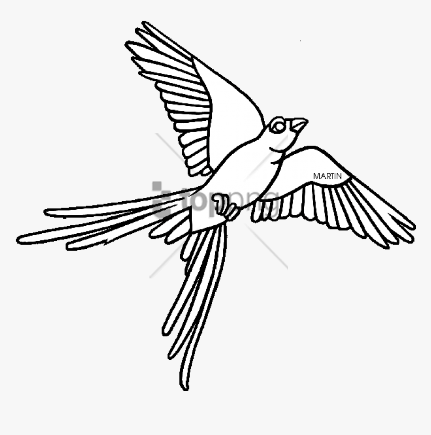 Oklahoma State Bird Clipart Oklahoma State University - Scissor Tailed Flycatcher Outline, HD Png Download, Free Download
