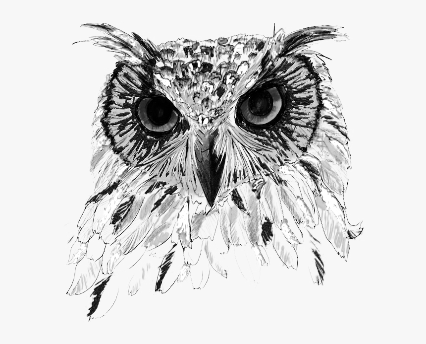 Thumb Image - Great Horned Owl, HD Png Download, Free Download