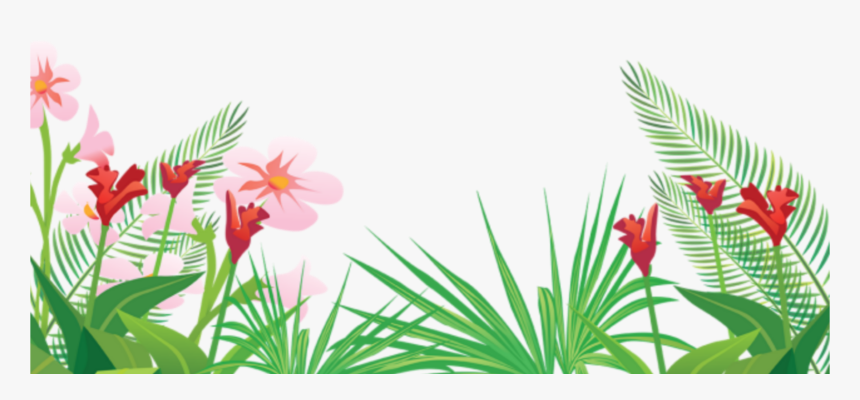 #tropical #summer #palm #tree #palmera #summerfun #summerflowers - Tropical Frame Vector Png, Transparent Png, Free Download
