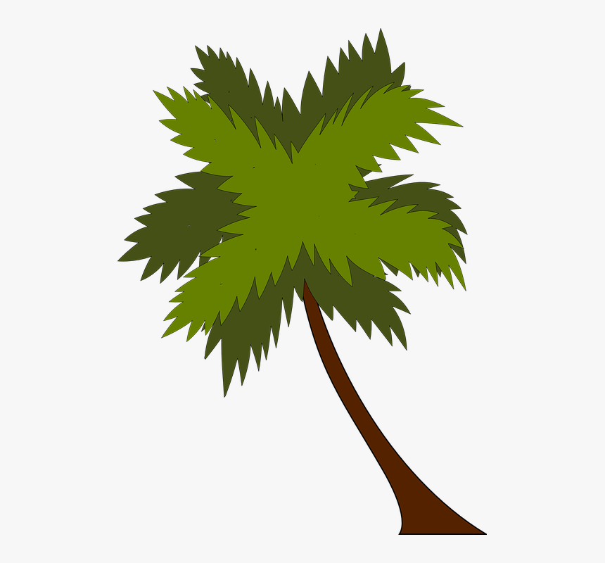 Palmera, Palm, Árbol, Playa, Vacaciones, Tropicales - Beach Resort, HD Png Download, Free Download
