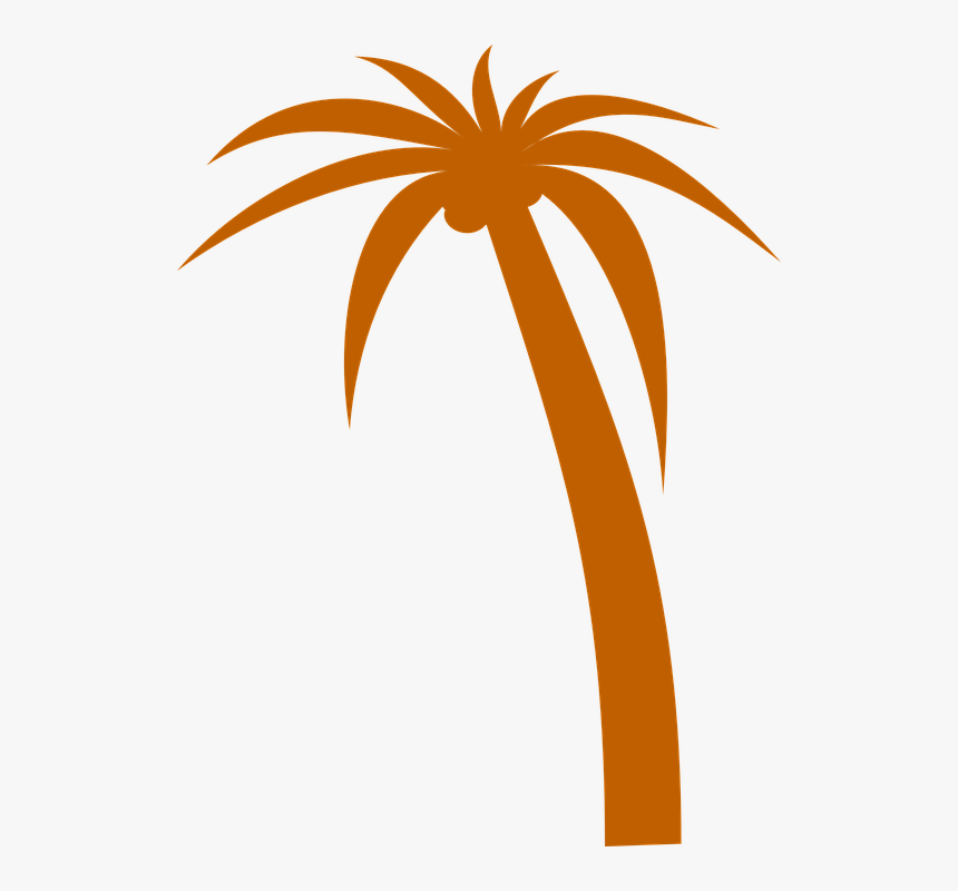Palmera, Palm, Tropicales, Exóticas, De Coco - Palm Tree Clip Art Vector, HD Png Download, Free Download