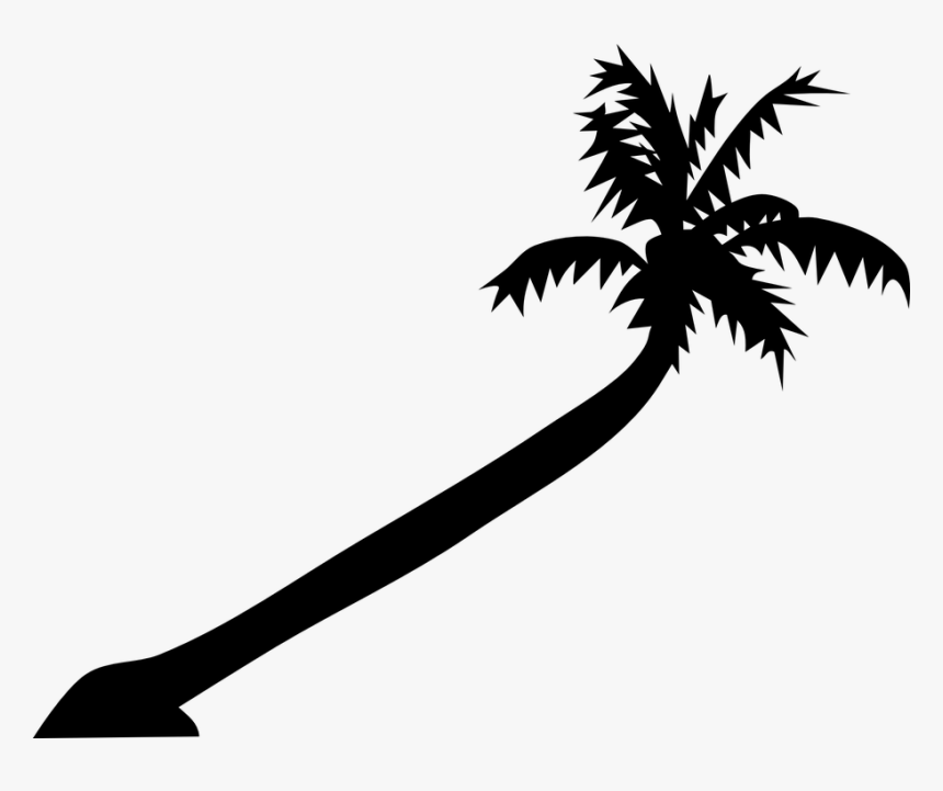 Caribe, Playa, Palm, Silueta, Palmera, Tropicales - Leaning Palm Tree Drawing, HD Png Download, Free Download
