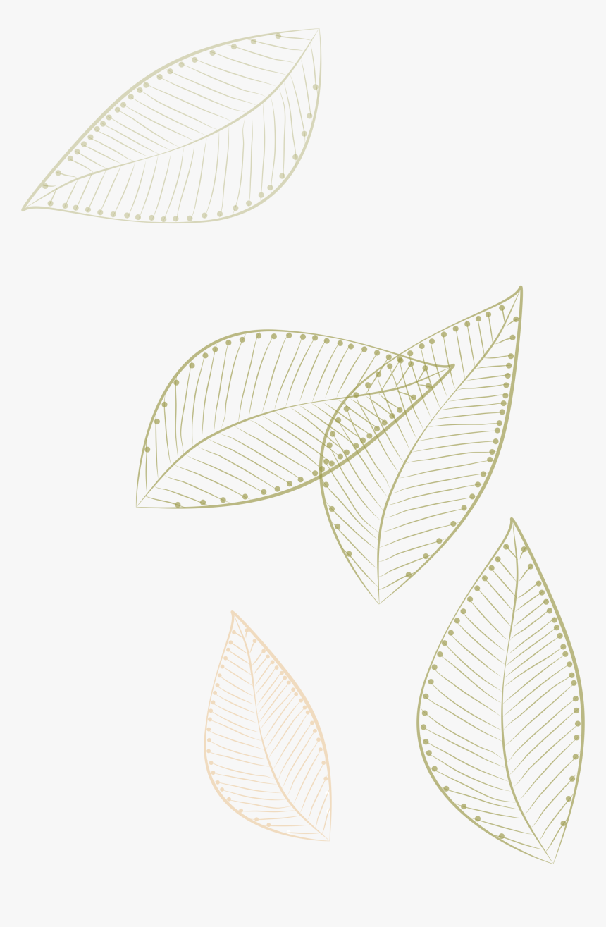 Pattern Leaves -painted Paper White Floating Clipart - Vector Graphics, HD Png Download, Free Download