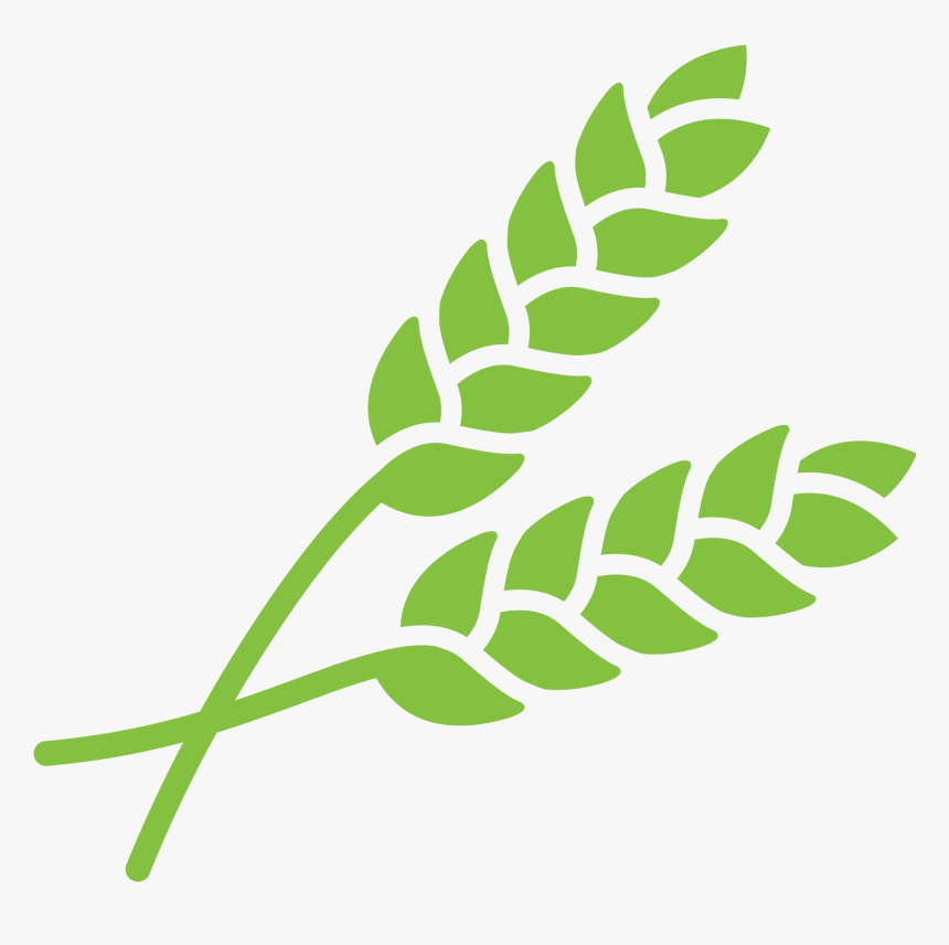 Crop Understand Grain Quality - Agriculture Crop Icon Png, Transparent Png, Free Download