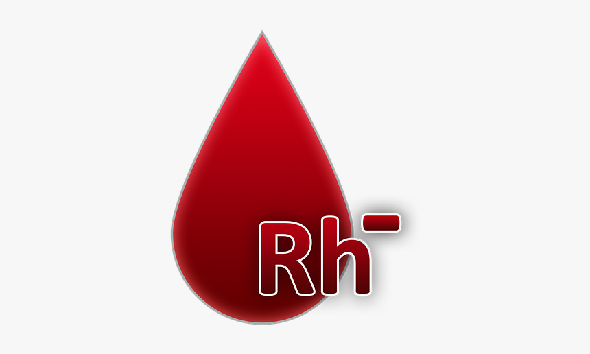 Blood Group, Rh Factor Negative, Blood, A Drop Of Blood - Grupo Sanguineo Ab Positivo, HD Png Download, Free Download