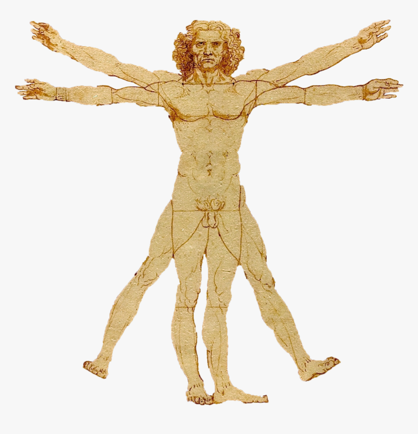 Homo Erectus Leonardo Da Vinci, HD Png Download, Free Download