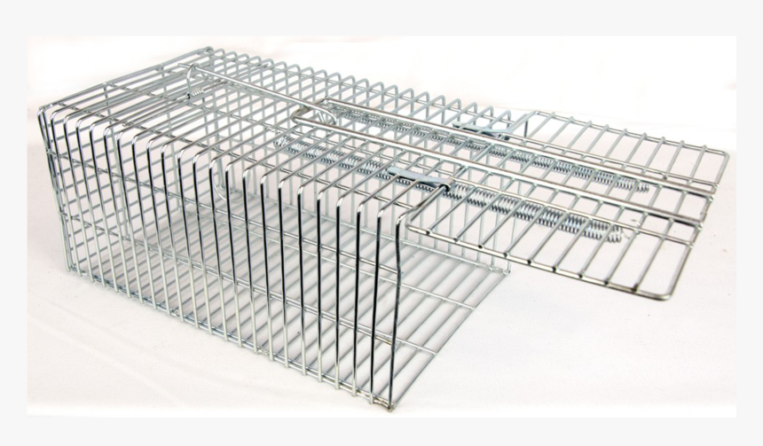 Outdoor Outfitters Live Capture Cage Trap Rat & Small - Cage, HD Png Download, Free Download