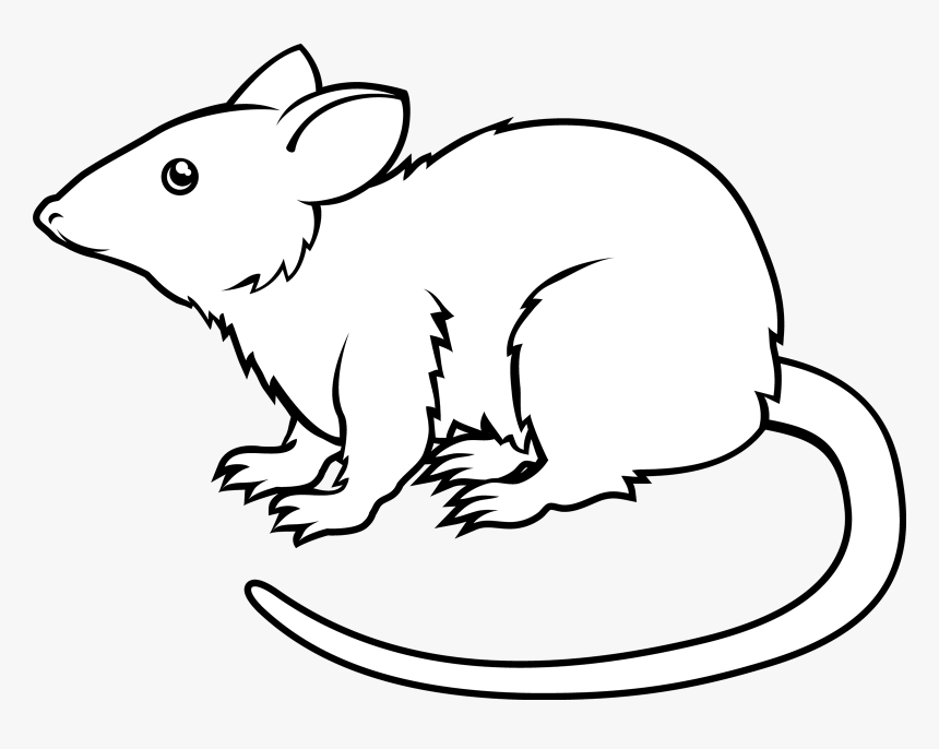 Black And White Animated Rat Png, Transparent Png, Free Download