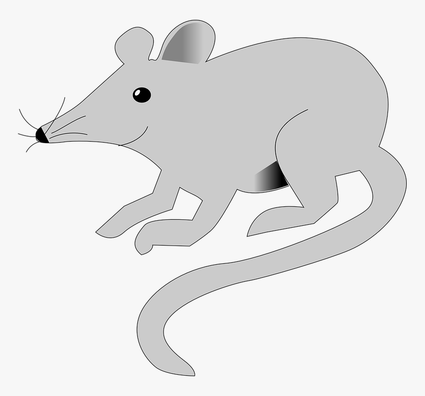 Mouse Rat Mice Animal Small Pet - Mouse, HD Png Download, Free Download