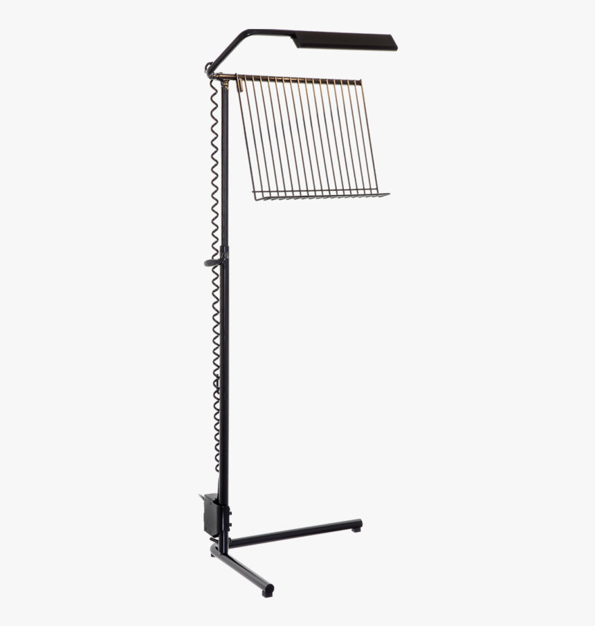 Rat Music Stands, HD Png Download, Free Download