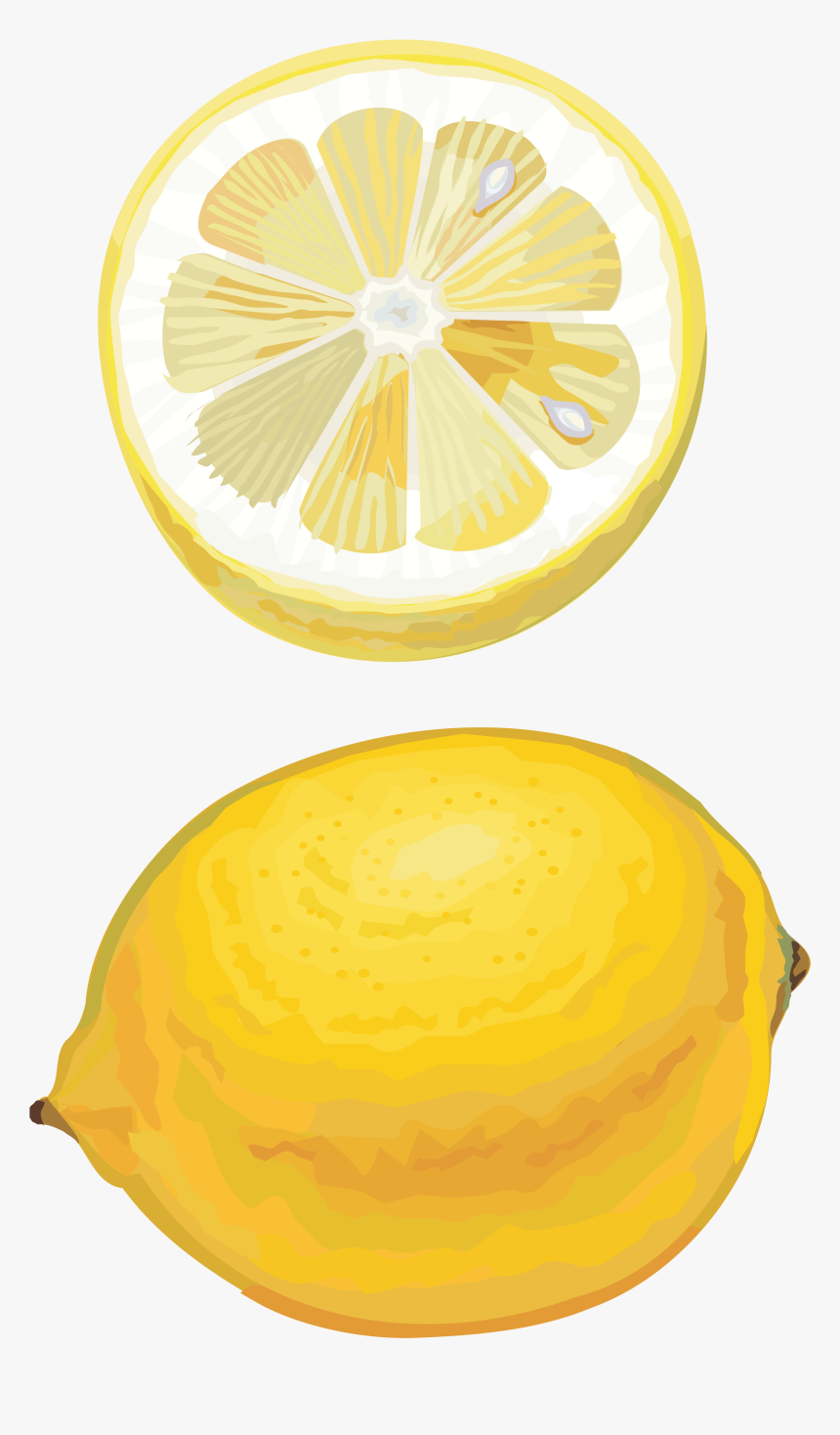 Transparent Lemon Slice Png - Transparent Lemon Drawing Png, Png Download, Free Download