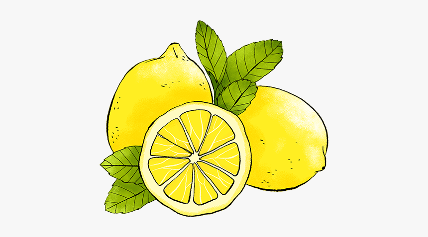 Lemon Png Drawn - Drawn Lemon Png, Transparent Png, Free Download