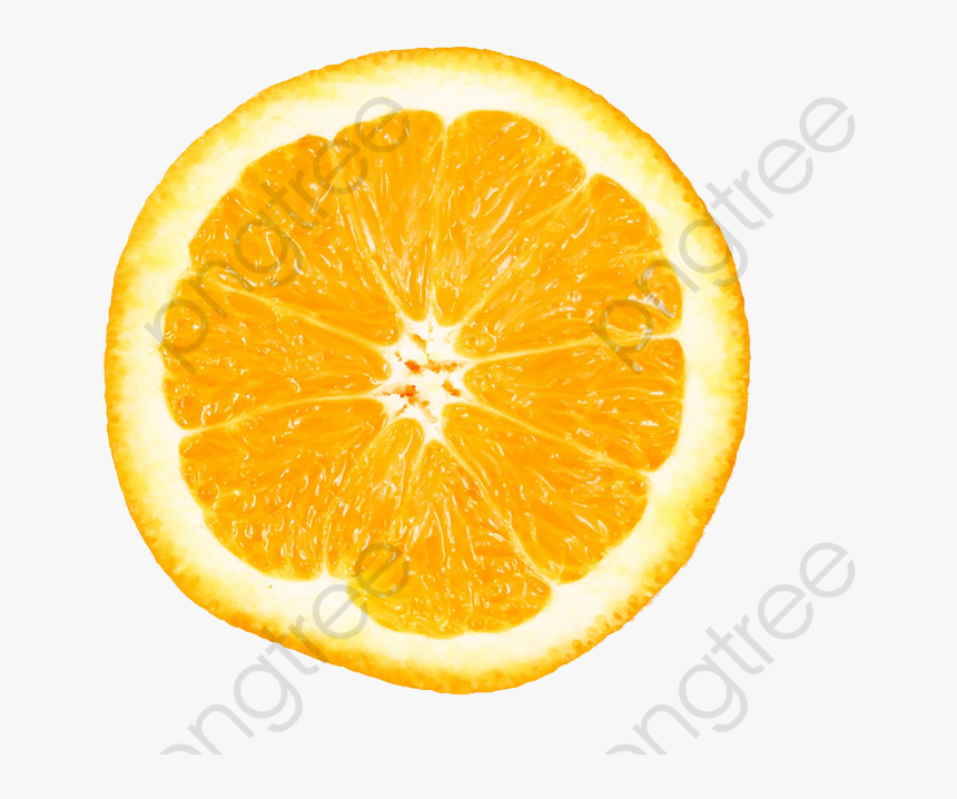 Transparent Lemon Clipart - Fresh Cut Orange Png, Png Download, Free Download