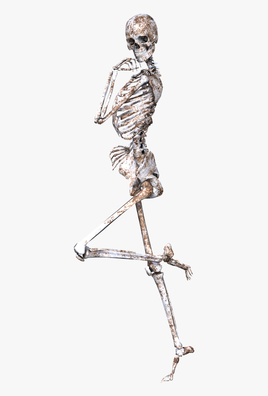 Skeleton Pose Skull Free Picture - Skeleton Clipart No Background, HD Png Download, Free Download
