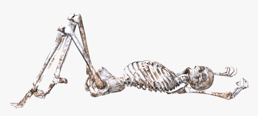 Skeleton Pose Skull Free Picture - Skeleton Lying Down Png, Transparent Png, Free Download