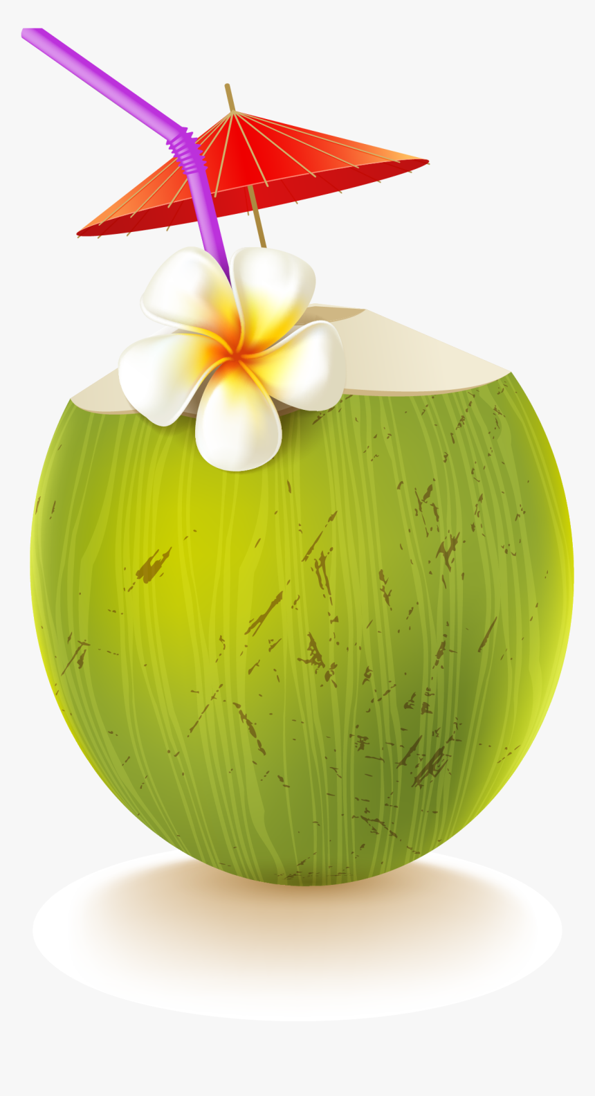 Coconut Water, Coconut, Drink, Apple, Food Png Image - Coconut Drink Png, Transparent Png, Free Download