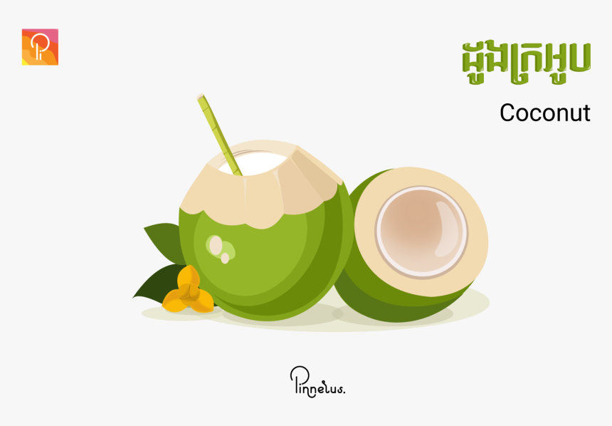 Coconut-vector Coconut Vector - Coconut Vector Free Download, HD Png Download, Free Download