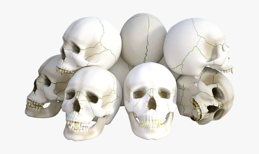 Skulls, Horror, Death, Halloween, Dead, Head, Grave - Skulls Png, Transparent Png, Free Download