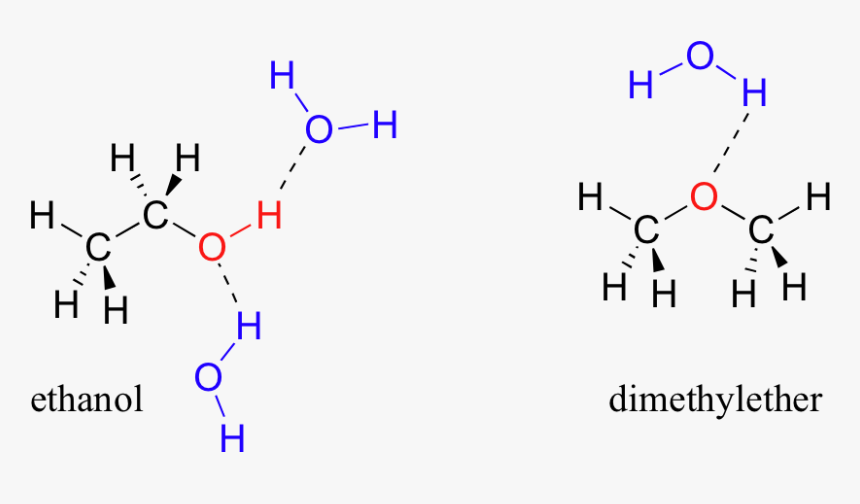 Water And Ethanol Hydrogen Bonding, HD Png Download, Free Download