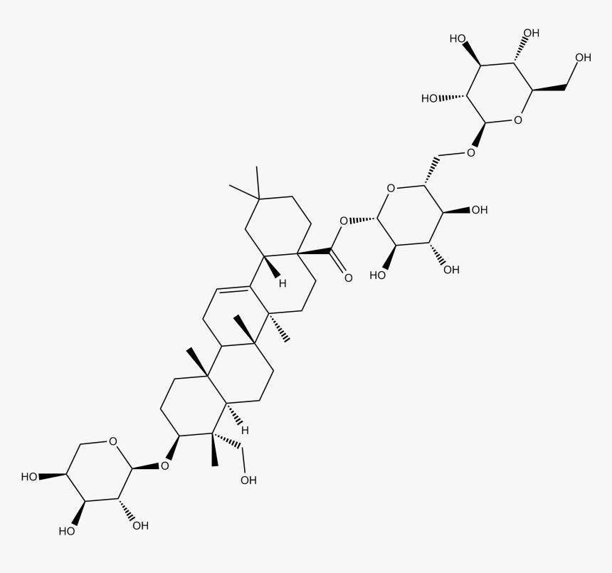 Diagram, HD Png Download, Free Download