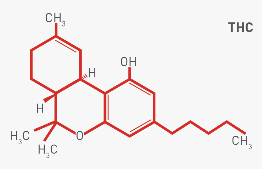 Thc Chemical Compound - Thc Compound, HD Png Download, Free Download