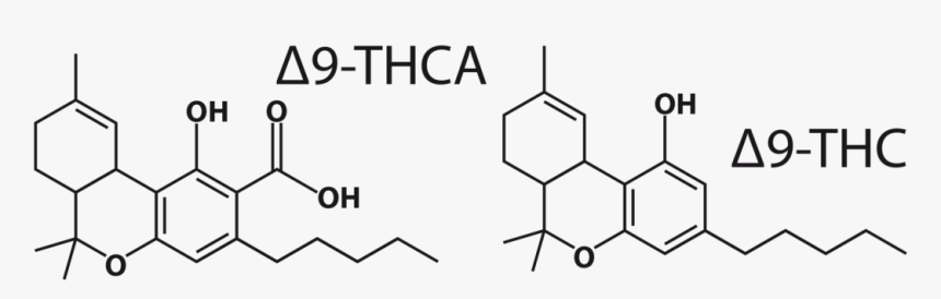 Δ9 Thca And Δ9 Thc Molecules - Delta 8 Molecular Structure, HD Png Download, Free Download