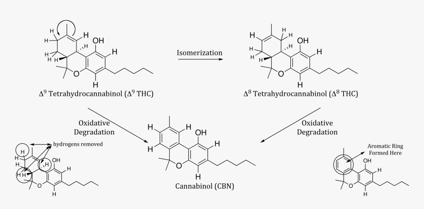 Chemical Compounds Of Drugs, HD Png Download, Free Download