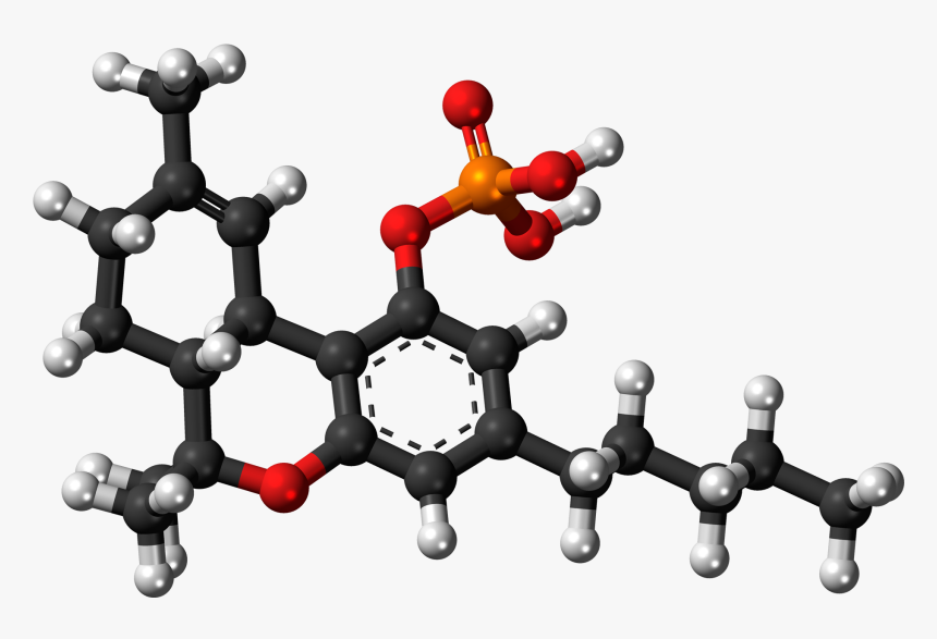 Thc O Phosphate 3d Ball - Thc Molecular Structure 3d, HD Png Download, Free Download