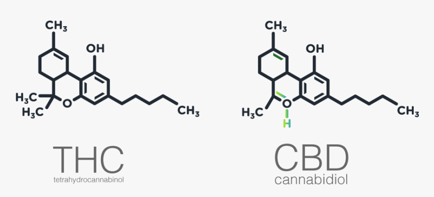 Cannabidiol, HD Png Download, Free Download