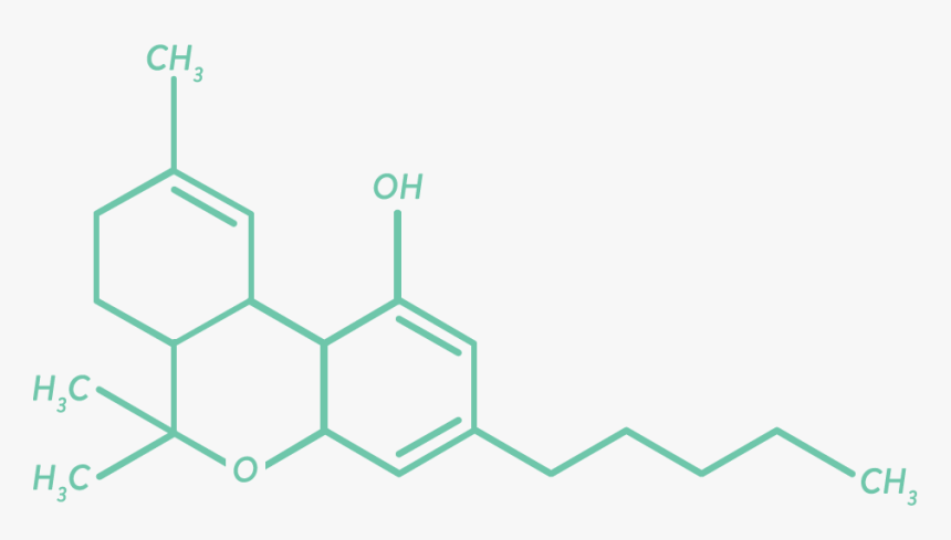 3 5 Dichloro 1 Methyl Benzene, HD Png Download, Free Download