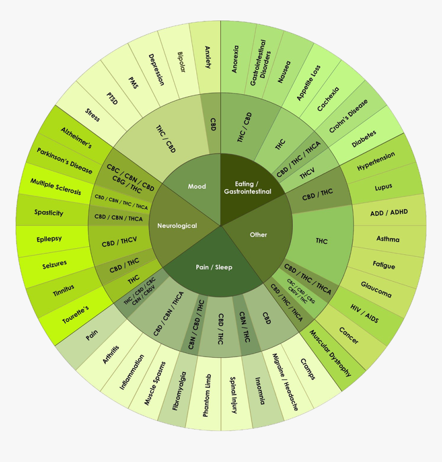 Weed Health Benefits Chart - Cannabis Health Benefits Chart, HD Png Download, Free Download